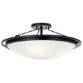 Ceiling Light 42025BK