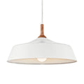 Danika Pendant 43683WH