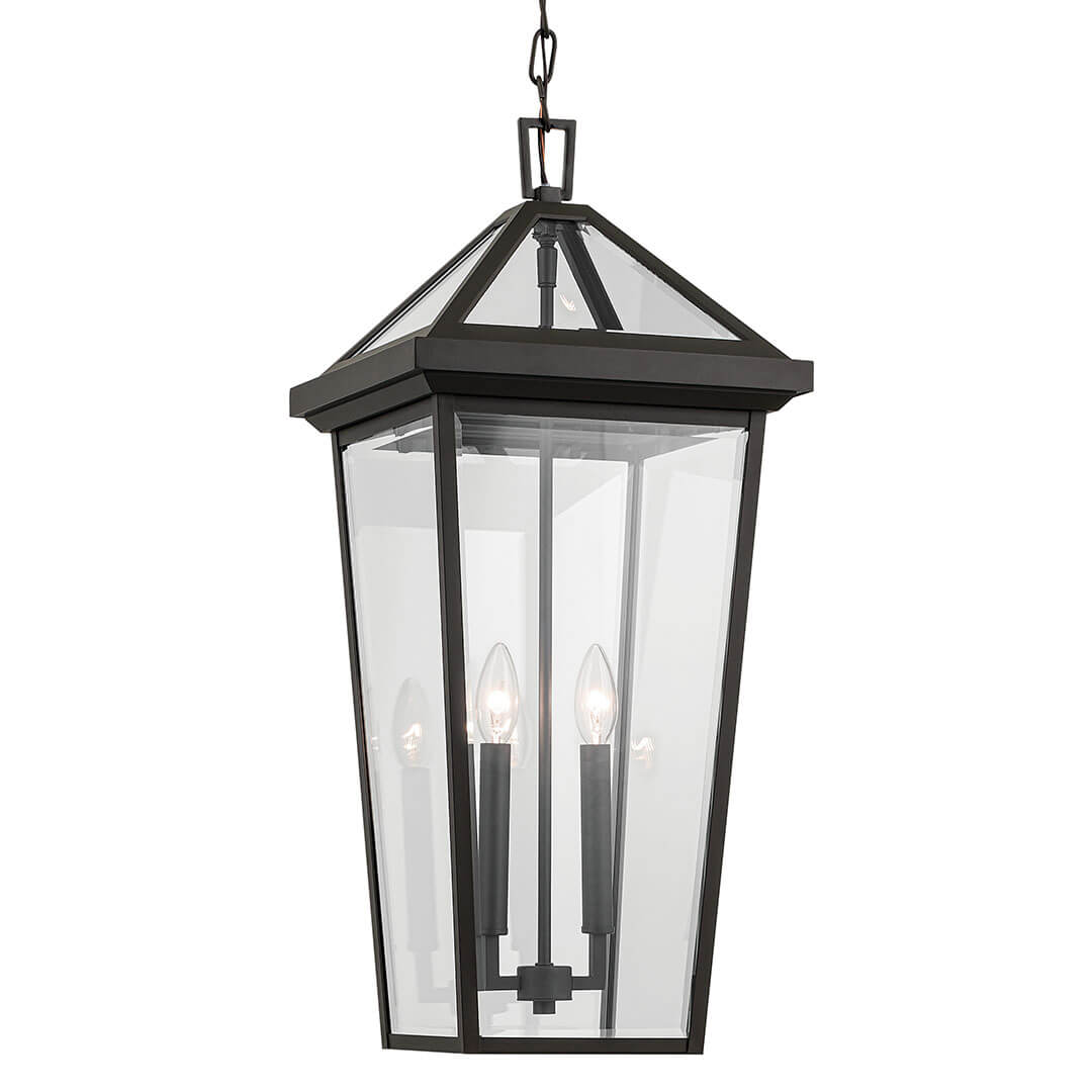 Regence Outdoor Hanging Light 59130OZ