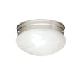 Ceiling Space Ceiling Light 8209NI