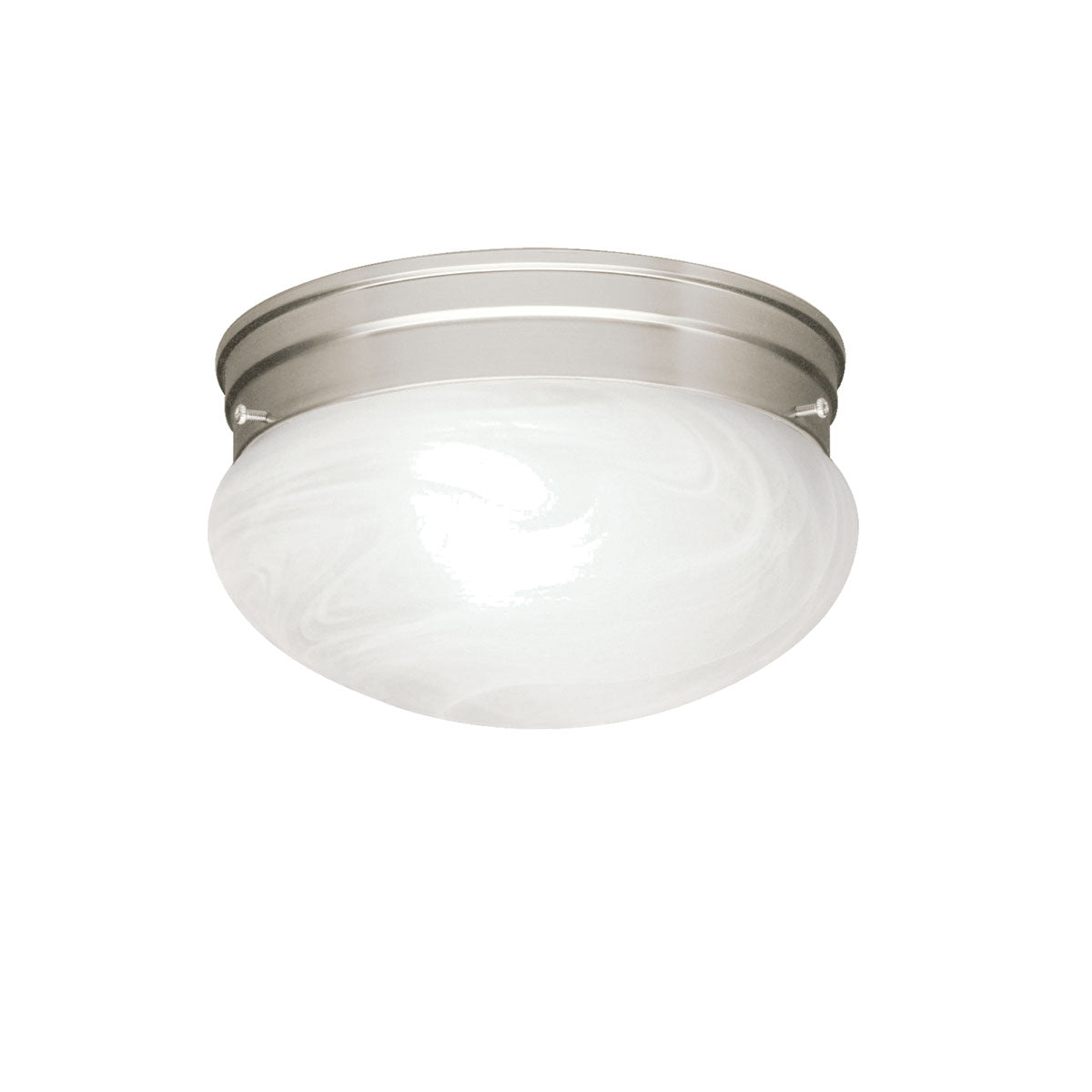 Ceiling Space Ceiling Light 8209NI