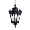 Tournai Outdoor Hanging Light 9855BKT