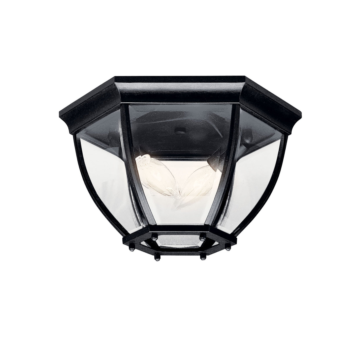 Outdoor Ceiling Light 9886BK